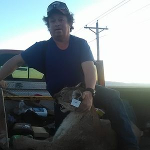 Meet your Posher, Paul